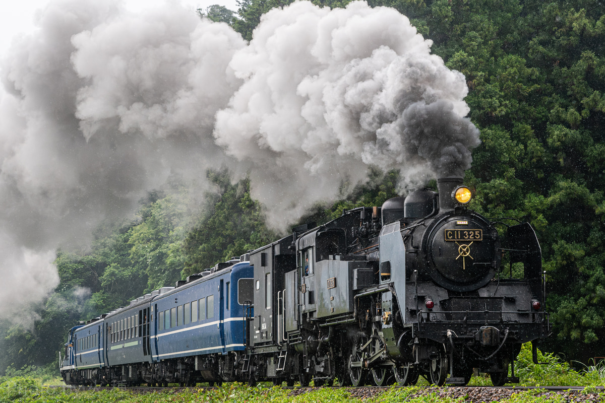 東武鉄道 下今市機関区 C11 325