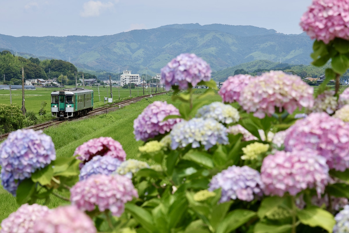 JR四国 徳島運転所 1200形 1230