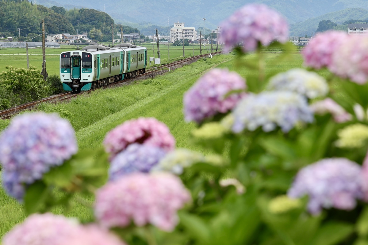 JR四国 徳島運転所 1500系 1560