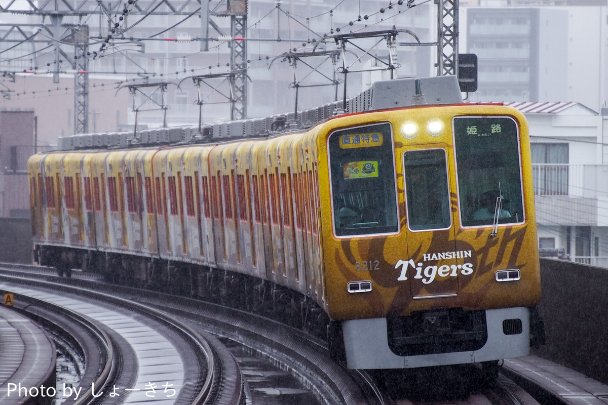 阪神電気鉄道 尼崎車庫 8000系 8211F