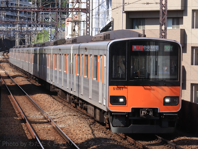 byわたたくと青いハチミツ