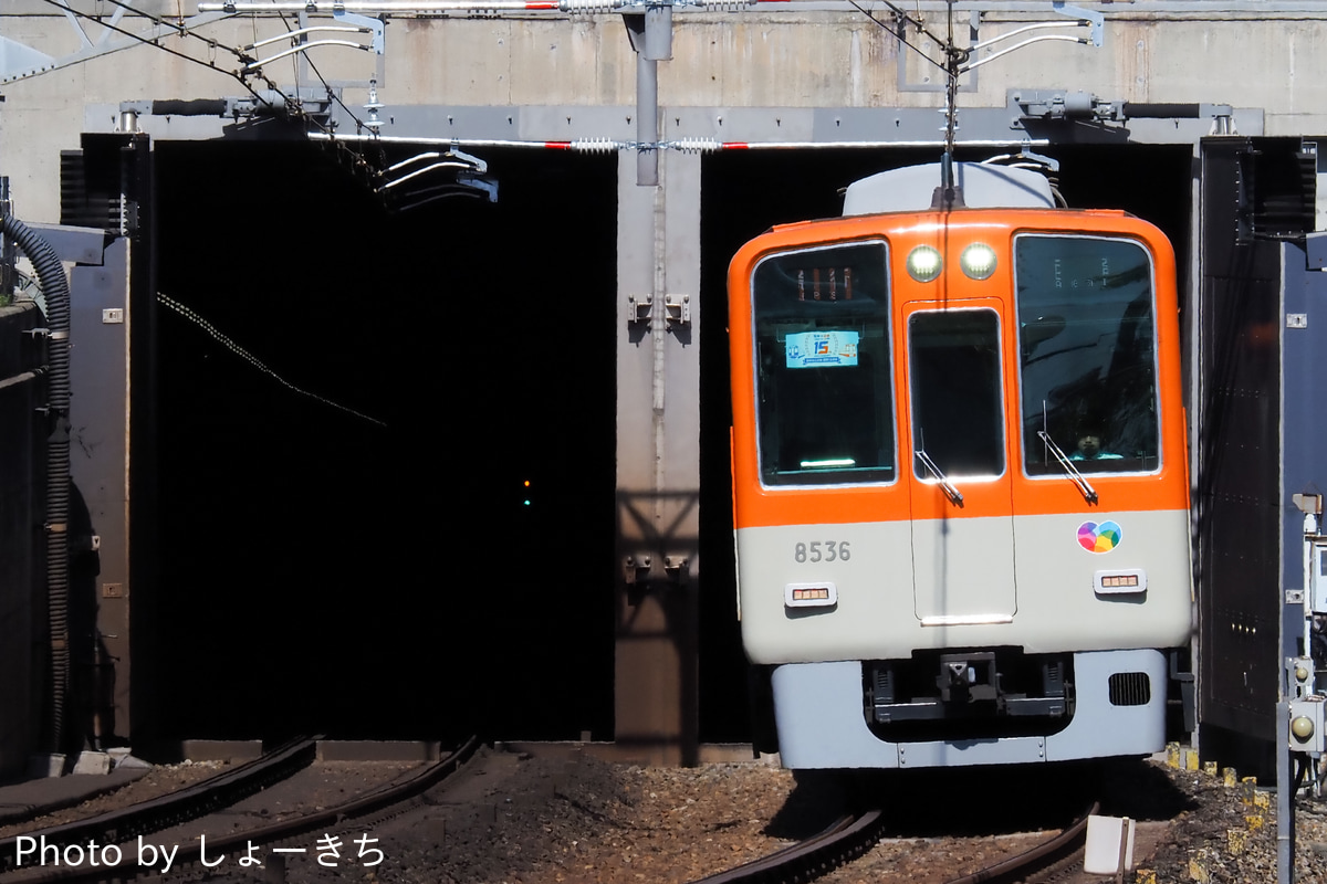 阪神電気鉄道 尼崎車庫 8000系 8235F