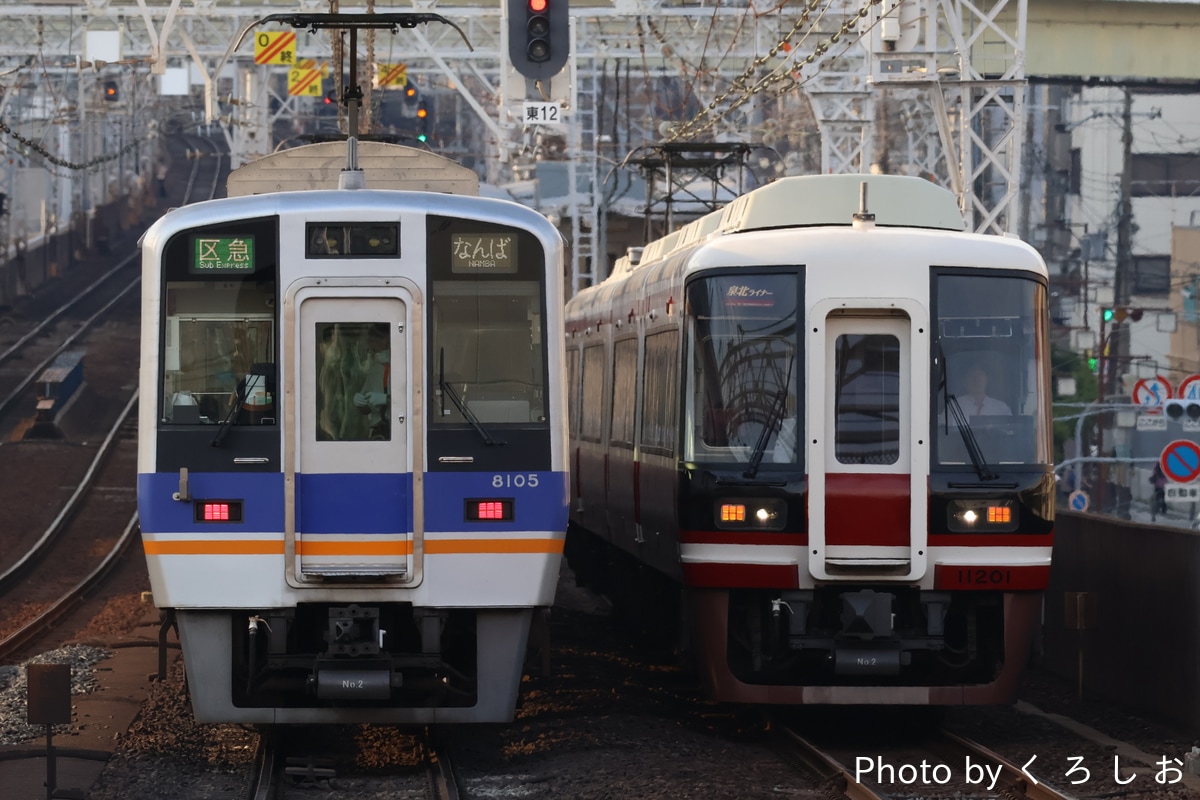 南海電気鉄道 小原田検車区 8000系 8005F
