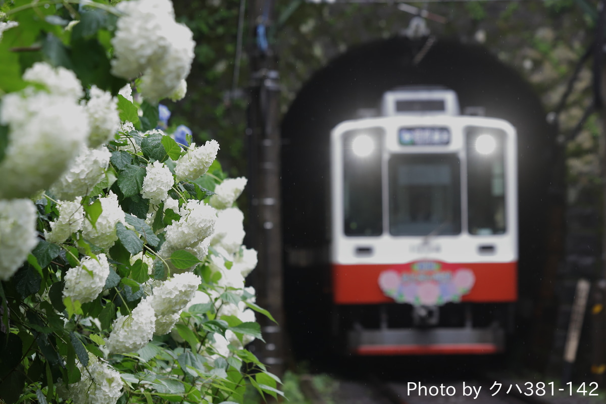 小田急箱根 入生田検車区 1000形 B2編成