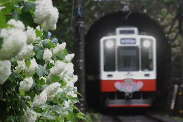 小田急箱根 入生田検車区 1000形 B2編成