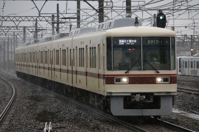 by全席指定