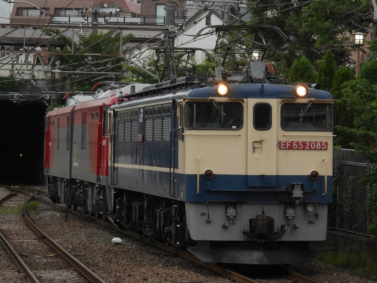 JR貨物 新鶴見機関区 EF65 2085