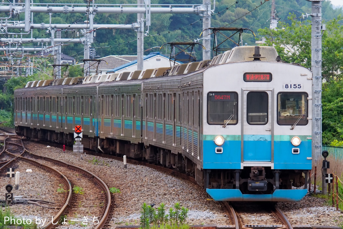 伊豆急行 伊豆高原電車区 8000系 TA-5編成