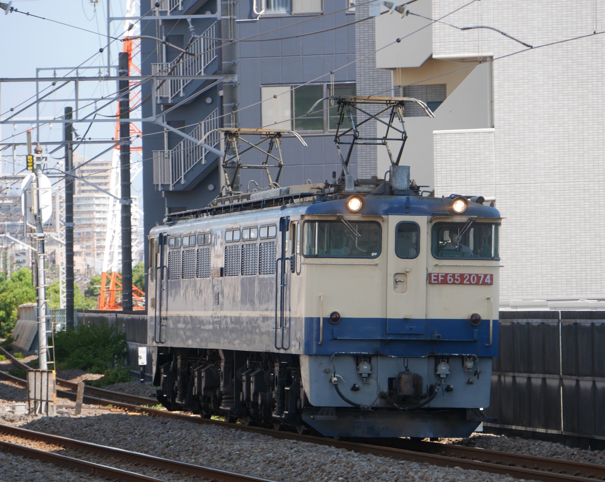 JR貨物 新鶴見機関区 EF65 2074