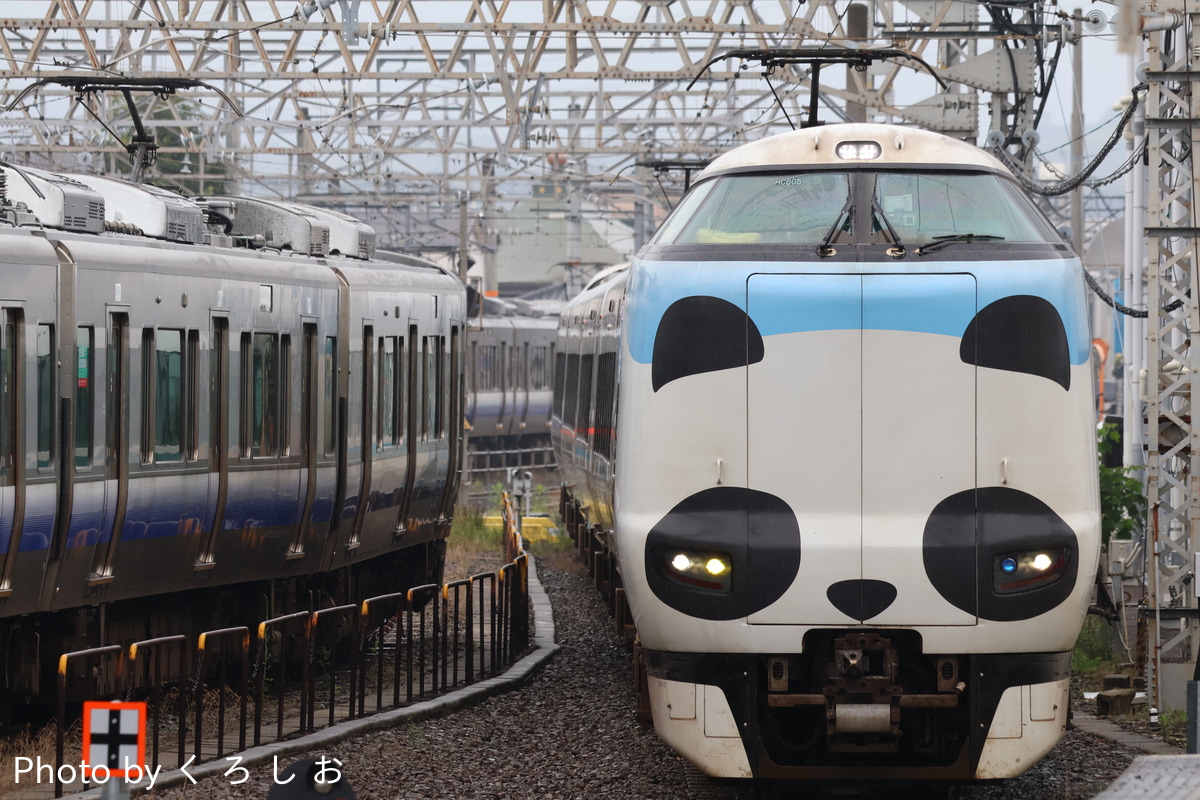 JR西日本 吹田総合車両所日根野支所 287系 HC605編成