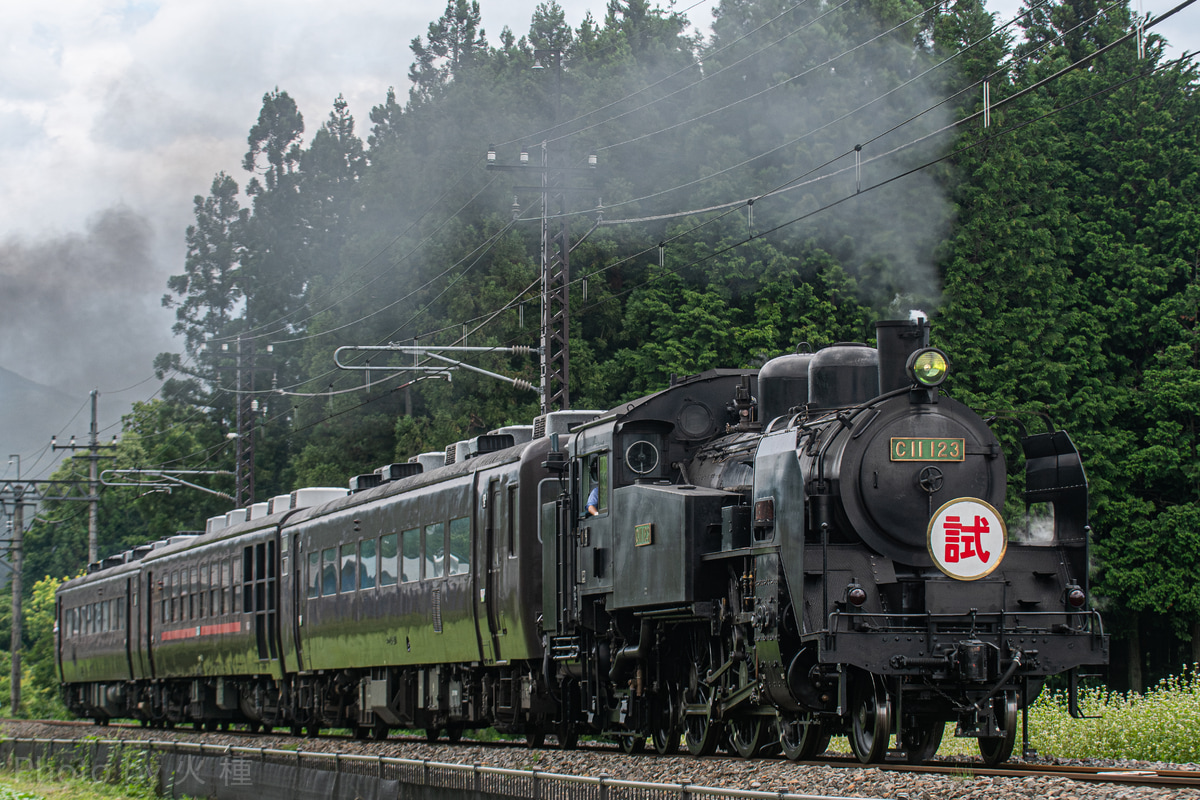 東武鉄道 下今市機関区 C11 123