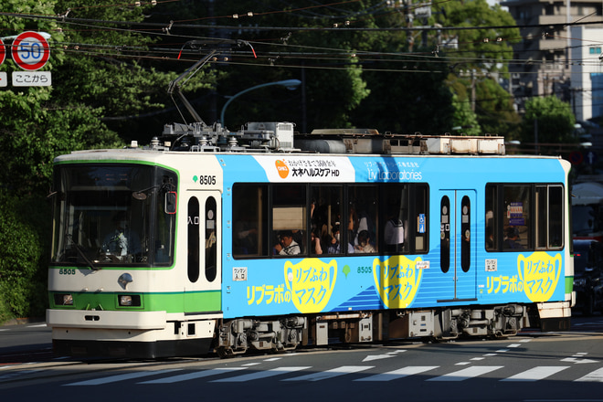 荒川車両検修所8500形8505を飛鳥山～王子駅前間で撮影した写真