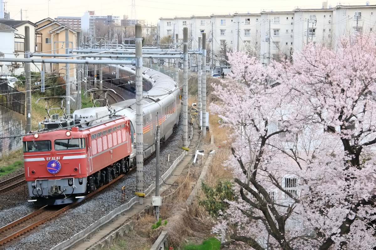 JR東日本 田端運転所 EF81 81