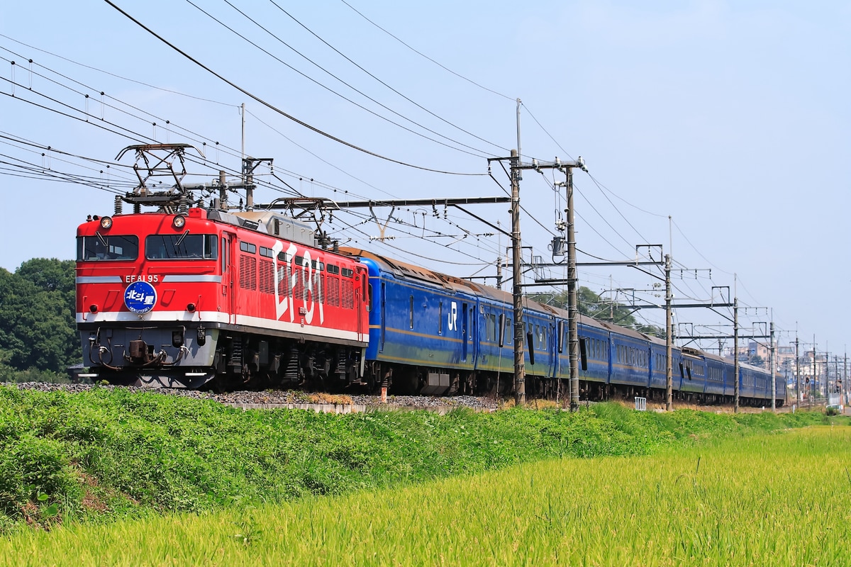 JR東日本 田端運転所 EF81 95