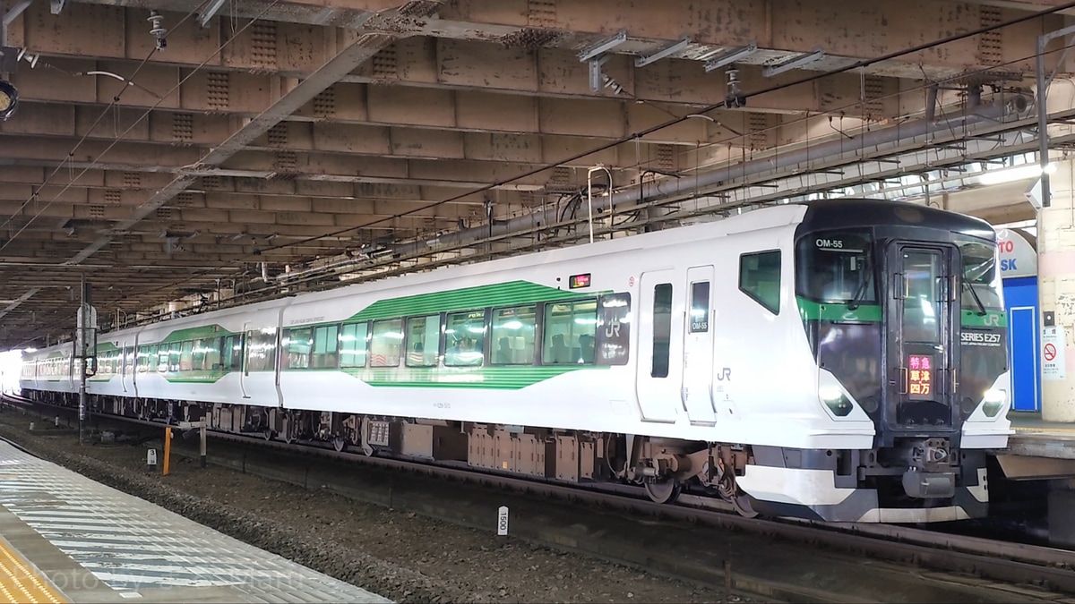 JR東日本 大宮総合車両センター東大宮センター E257系 OM-55編成