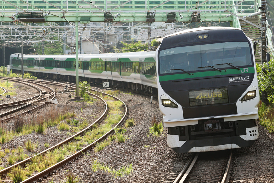 JR東E257系オオOM-91編成<br class="br-sp" />(オオOM-91)(OM91編成)(OM-91編成)の写真