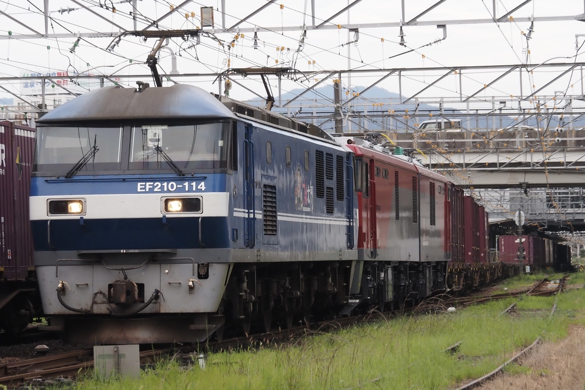 JR貨物 新鶴見機関区 EF210 114