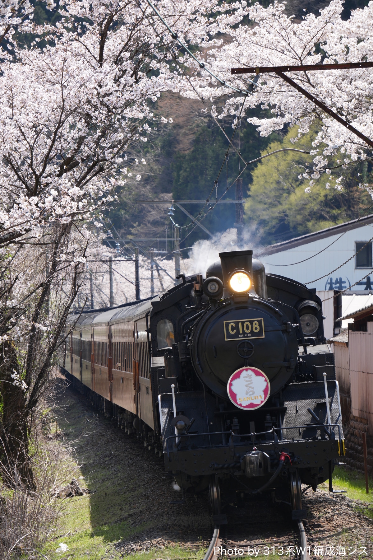 大井川鐵道 新金谷車両区 C10形 8