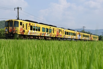 Uploaded Picture