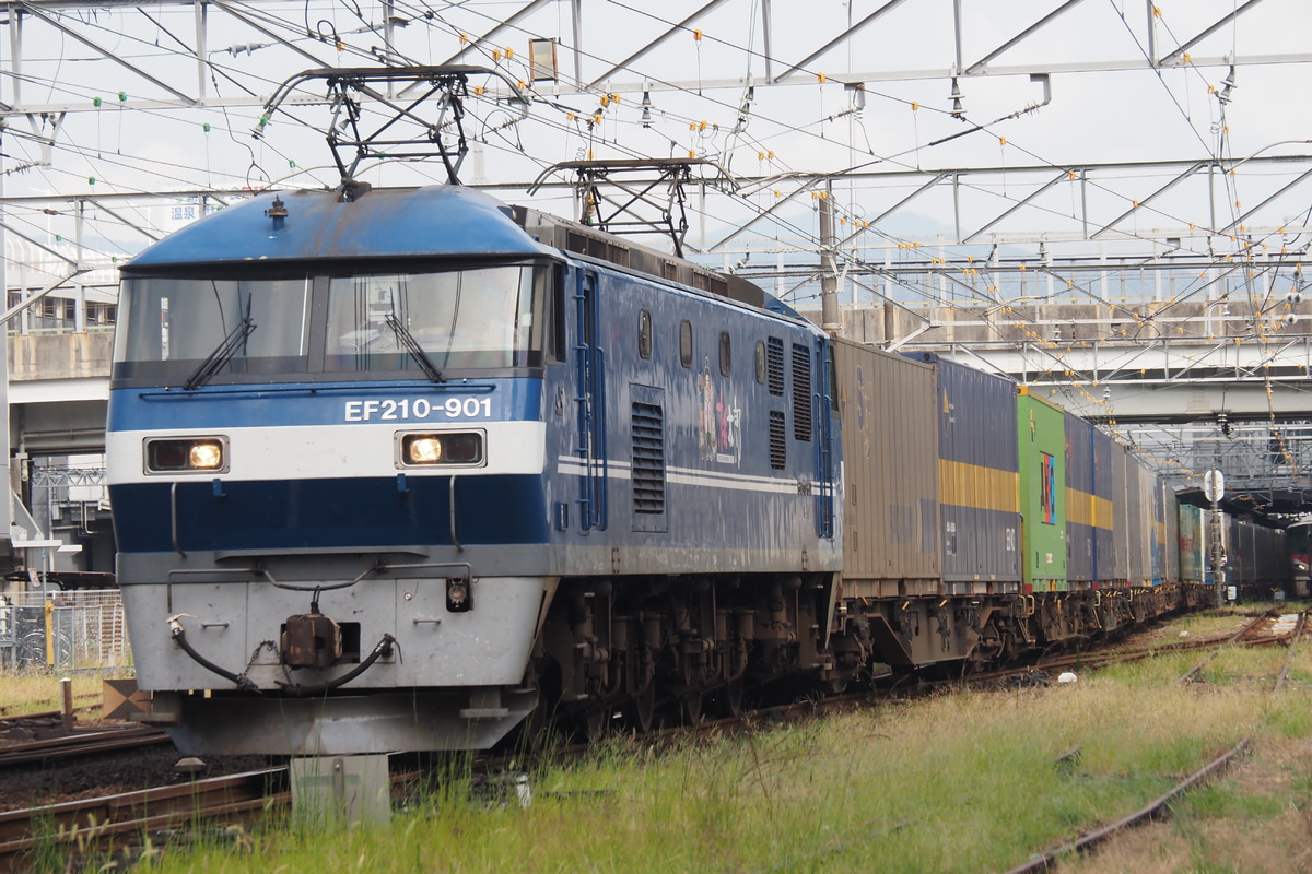 JR貨物 岡山機関区 EF210 901