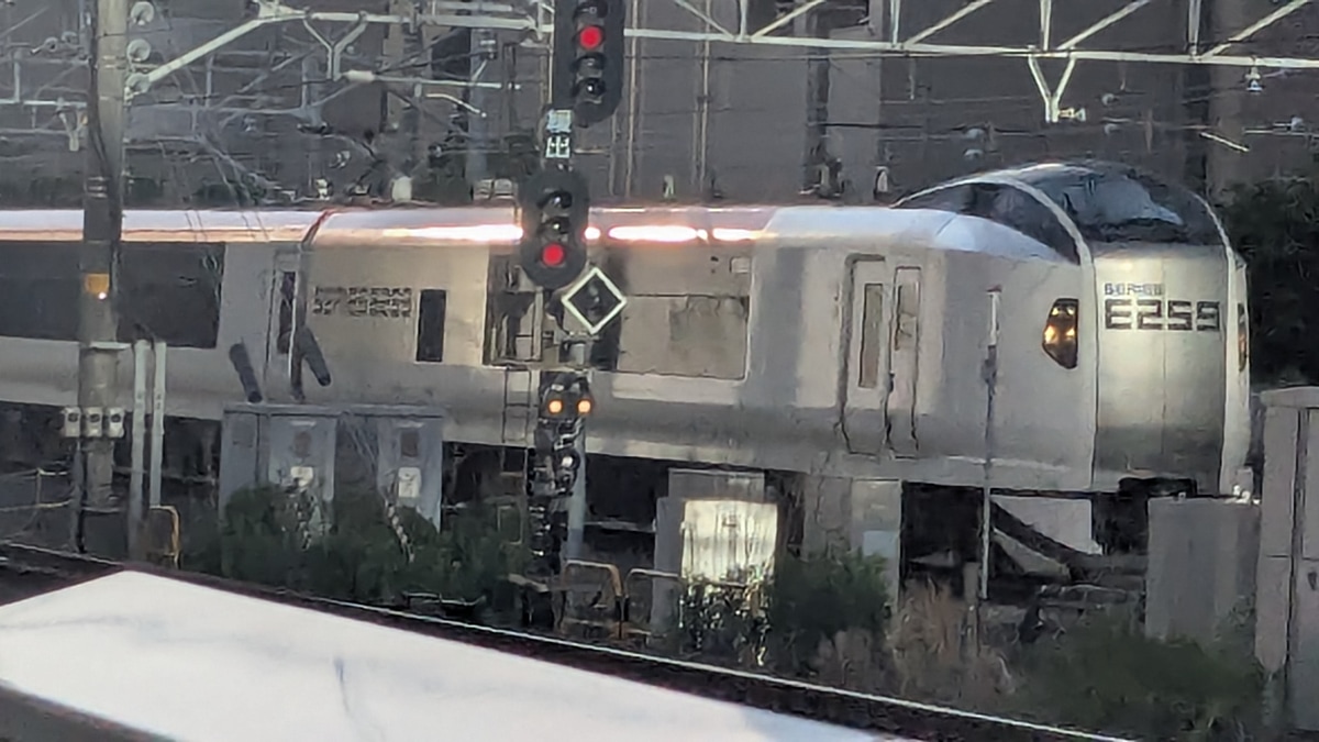 JR東日本  E259系成田エクスプレス 