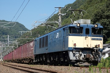 JR貨物 愛知機関区 EF64 1037