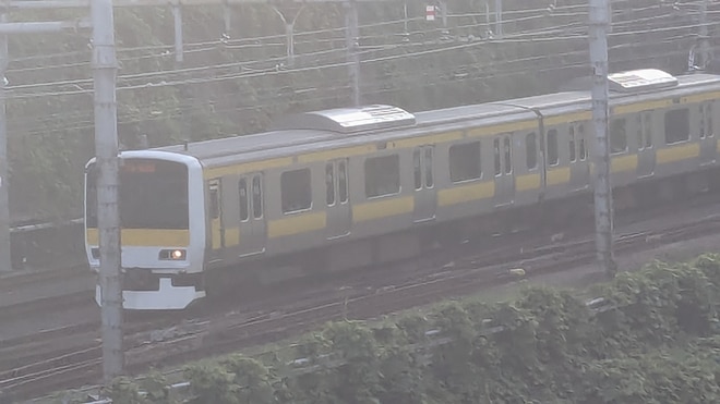 byせんだいらいなー