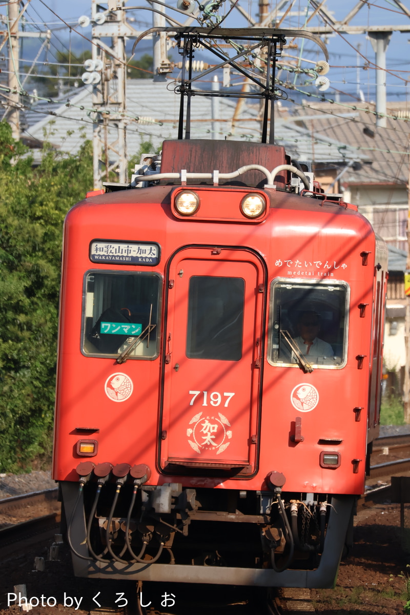 南海電気鉄道 住ノ江検車区 7100系 7197F