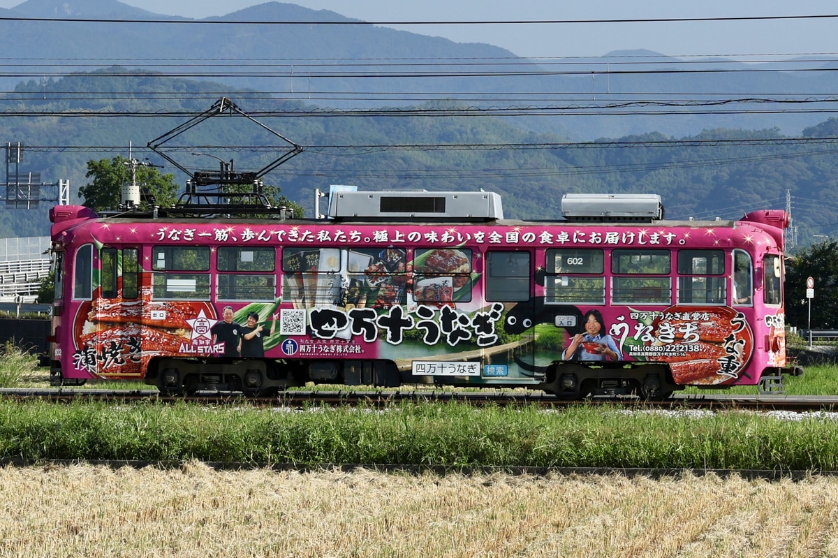 とさでん交通 桟橋車庫 600形 602
