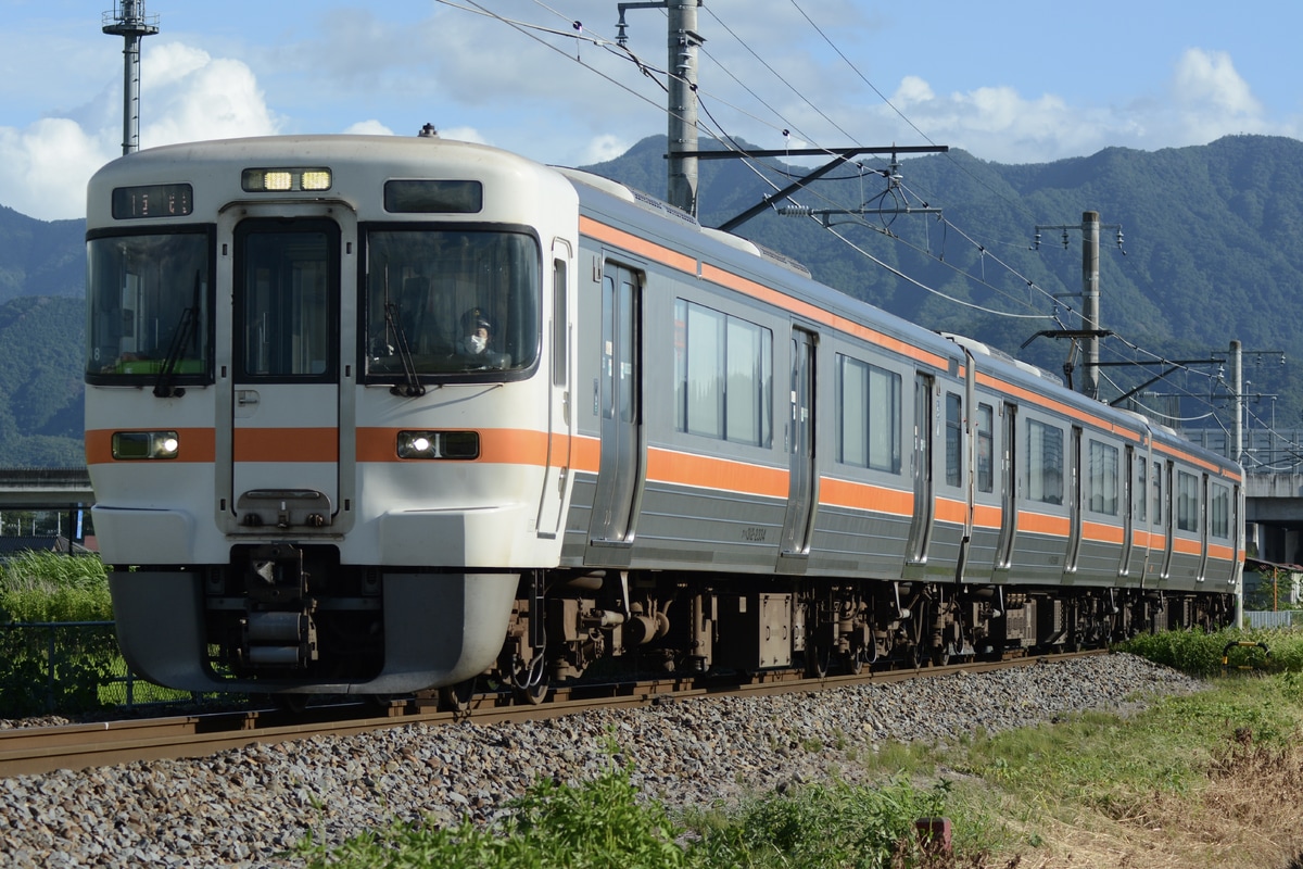 JR東海 静岡車両区 313系 シスN8編成