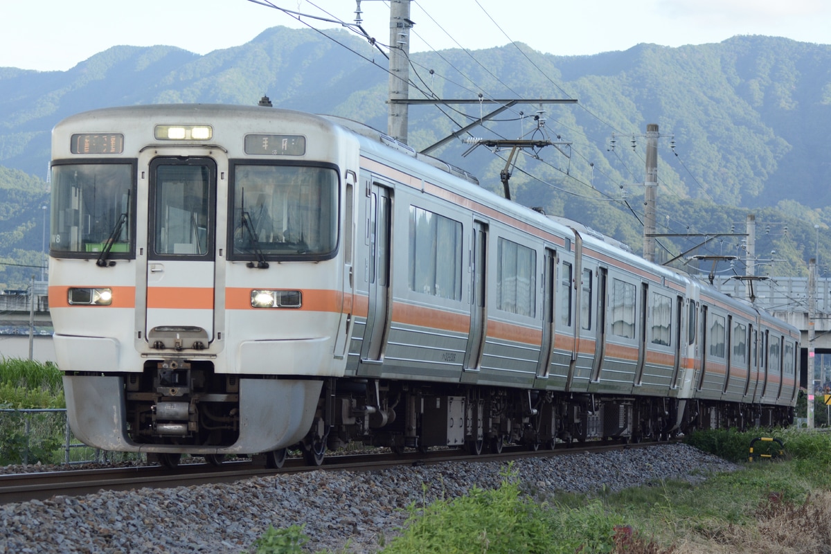 JR東海 静岡車両区 313系 シスW8編成