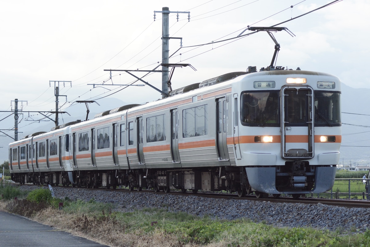 JR東海 静岡車両区 313系 シスV1編成