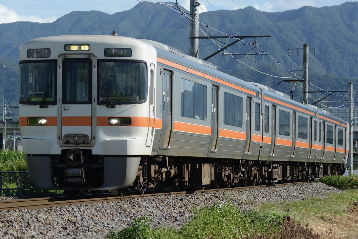 JR東海 静岡車両区 313系 シスN4編成