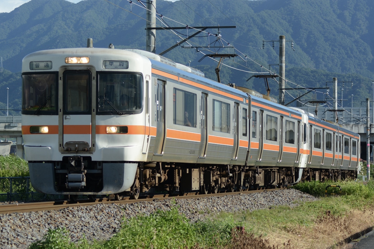 JR東海 静岡車両区 313系 シスV6編成