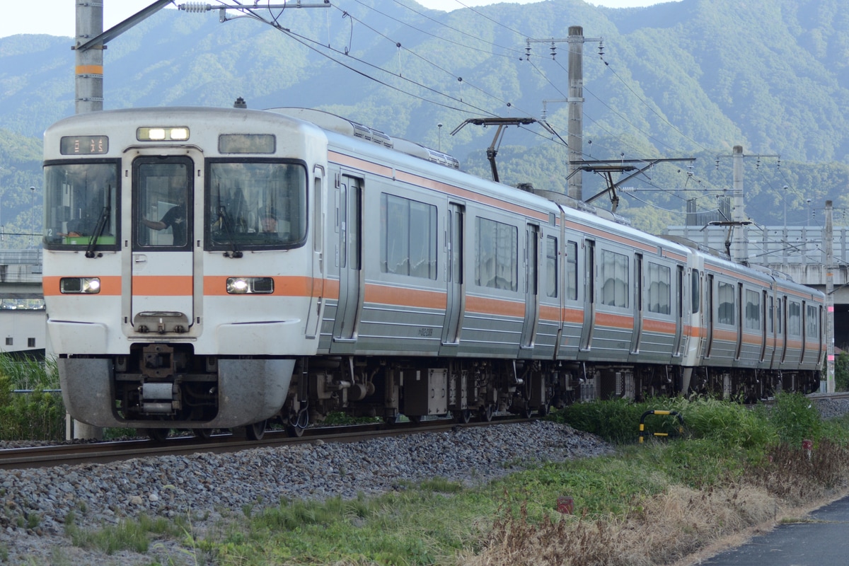 JR東海 静岡車両区 313系 シスW2編成