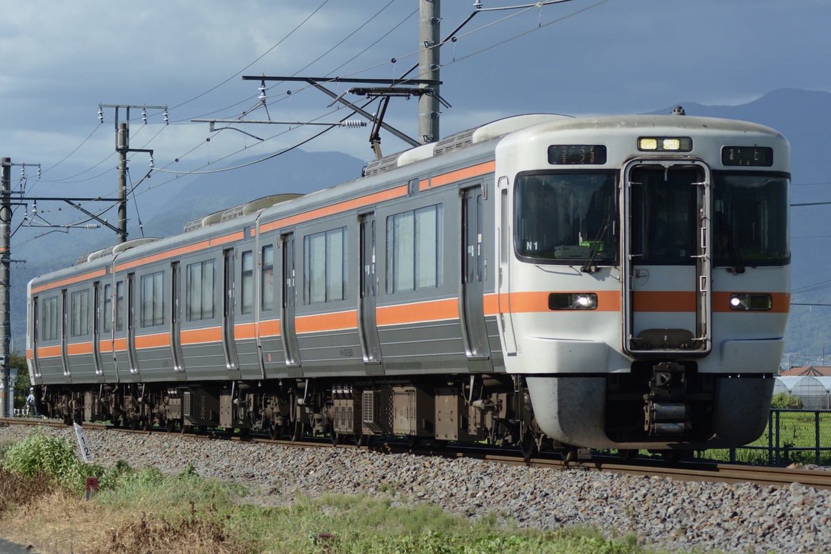 JR東海 静岡車両区 313系 シスN1編成