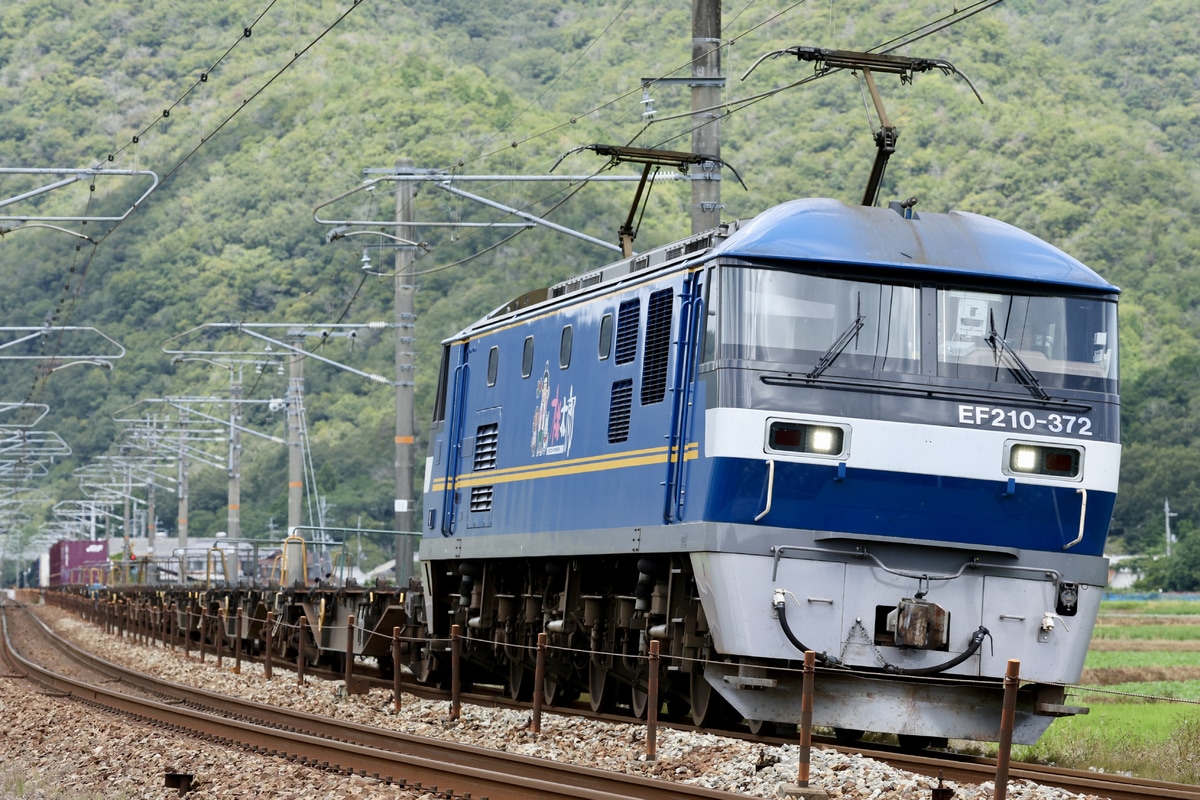 JR貨物 吹田機関区 EF210形 372