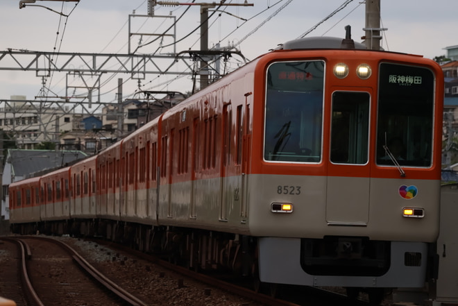 byF君
