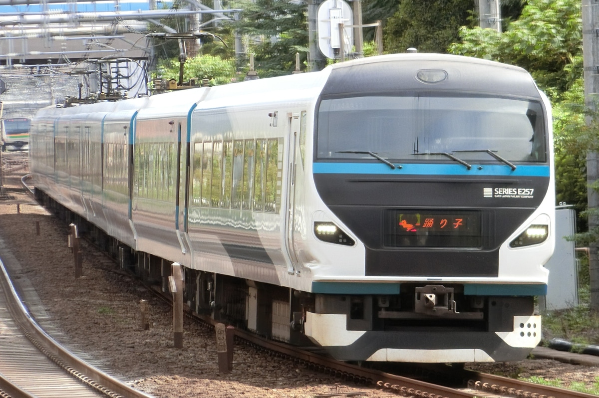 JR東日本 大宮総合車両センター東大宮センター E257系 オオNAｰ13編成