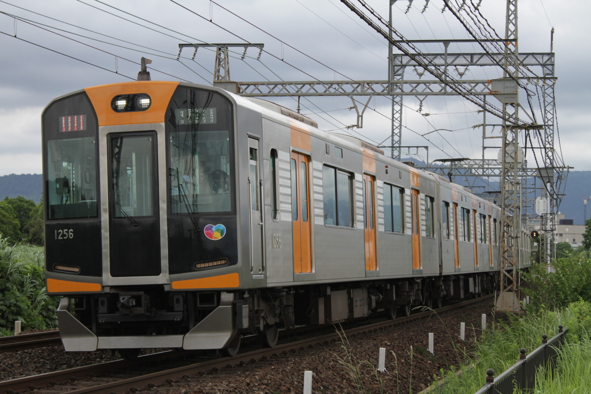 阪神電気鉄道  1000系 