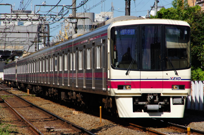 by山百合快特