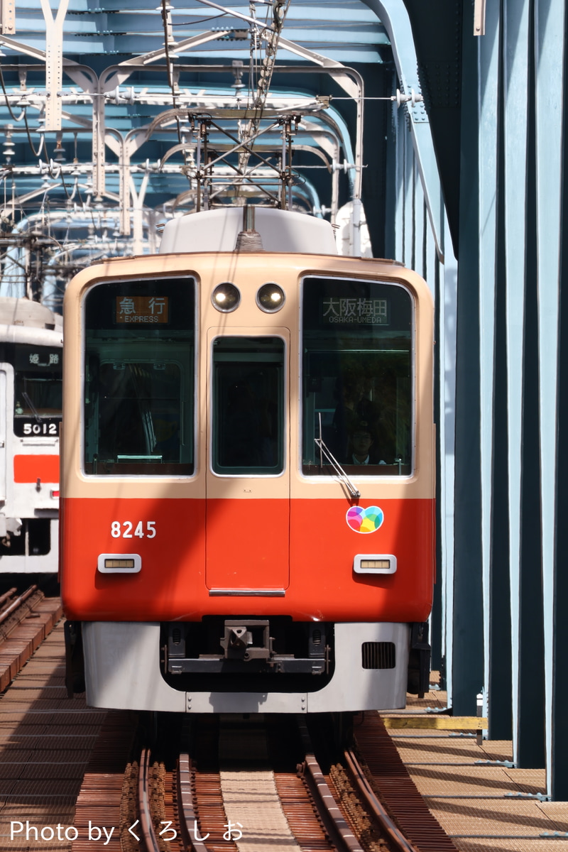 阪神電気鉄道 尼崎車庫 8000系 8245F