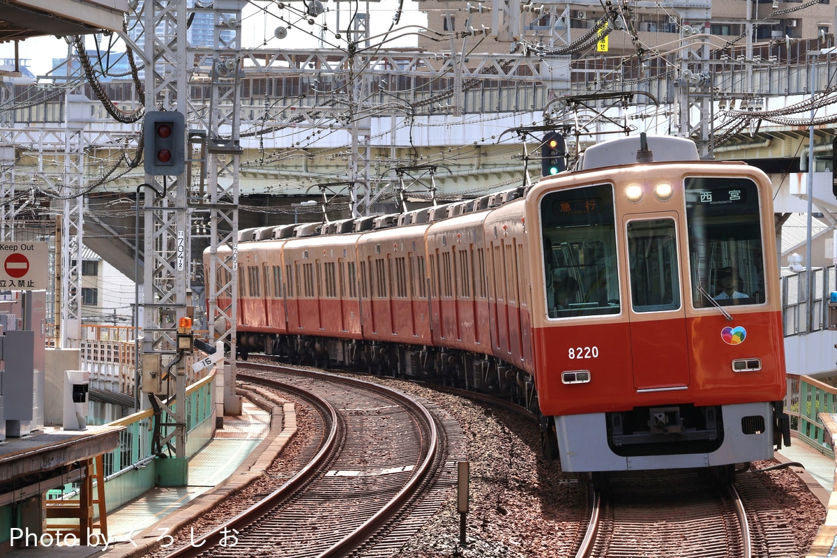 阪神電気鉄道 尼崎車庫 8000系 8219F