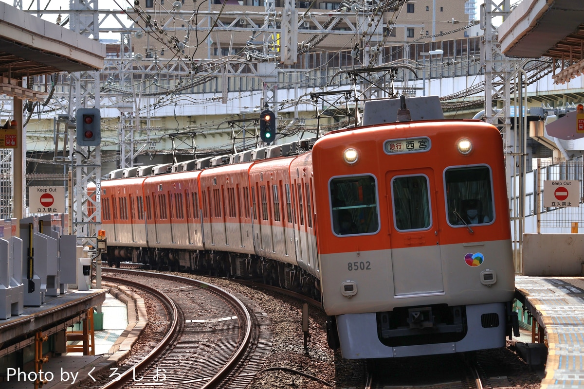 阪神電気鉄道 尼崎車庫 8000系 8523F