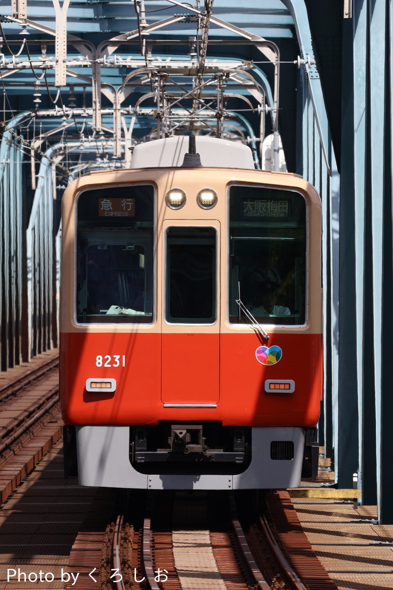 阪神電気鉄道 尼崎車庫 8000系 8231F