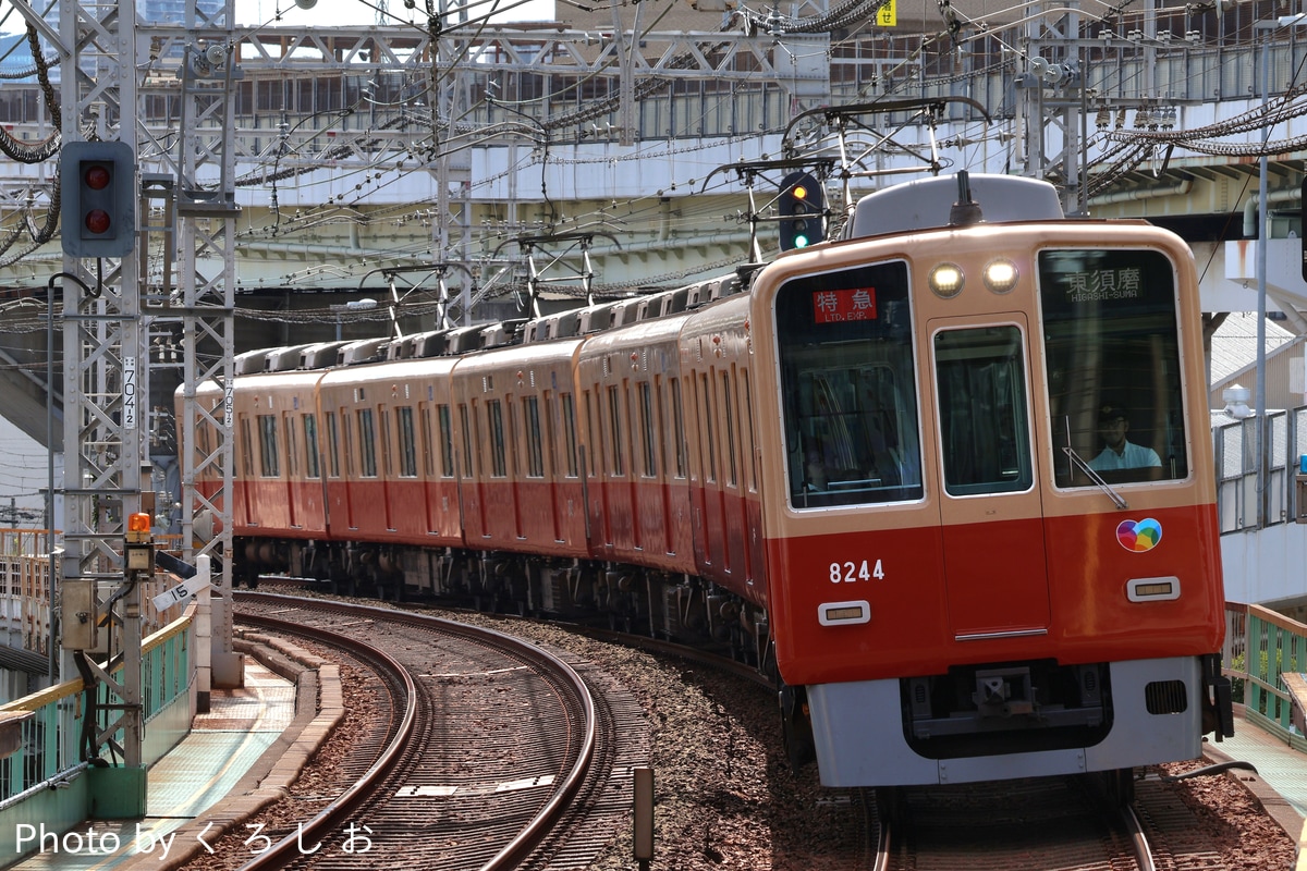 阪神電気鉄道 尼崎車庫 8000系 8243F