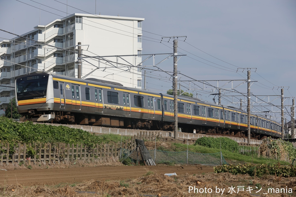 JR東日本 鎌倉車両センター中原支所 E233系 ナハN30編成