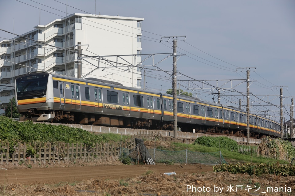 JR東E233系ナハN3編成<br class="br-sp" />(N3編成)(ナハN3)の写真