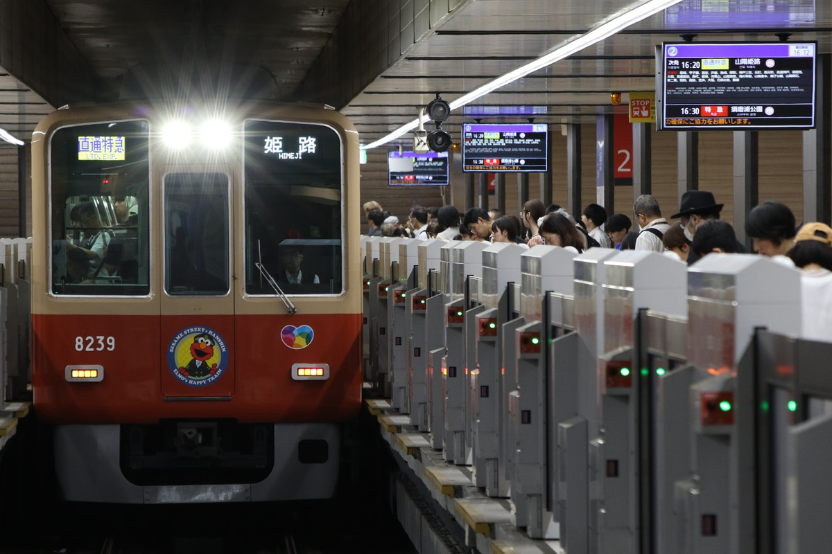 阪神電気鉄道 尼崎車庫 8000系 8239F