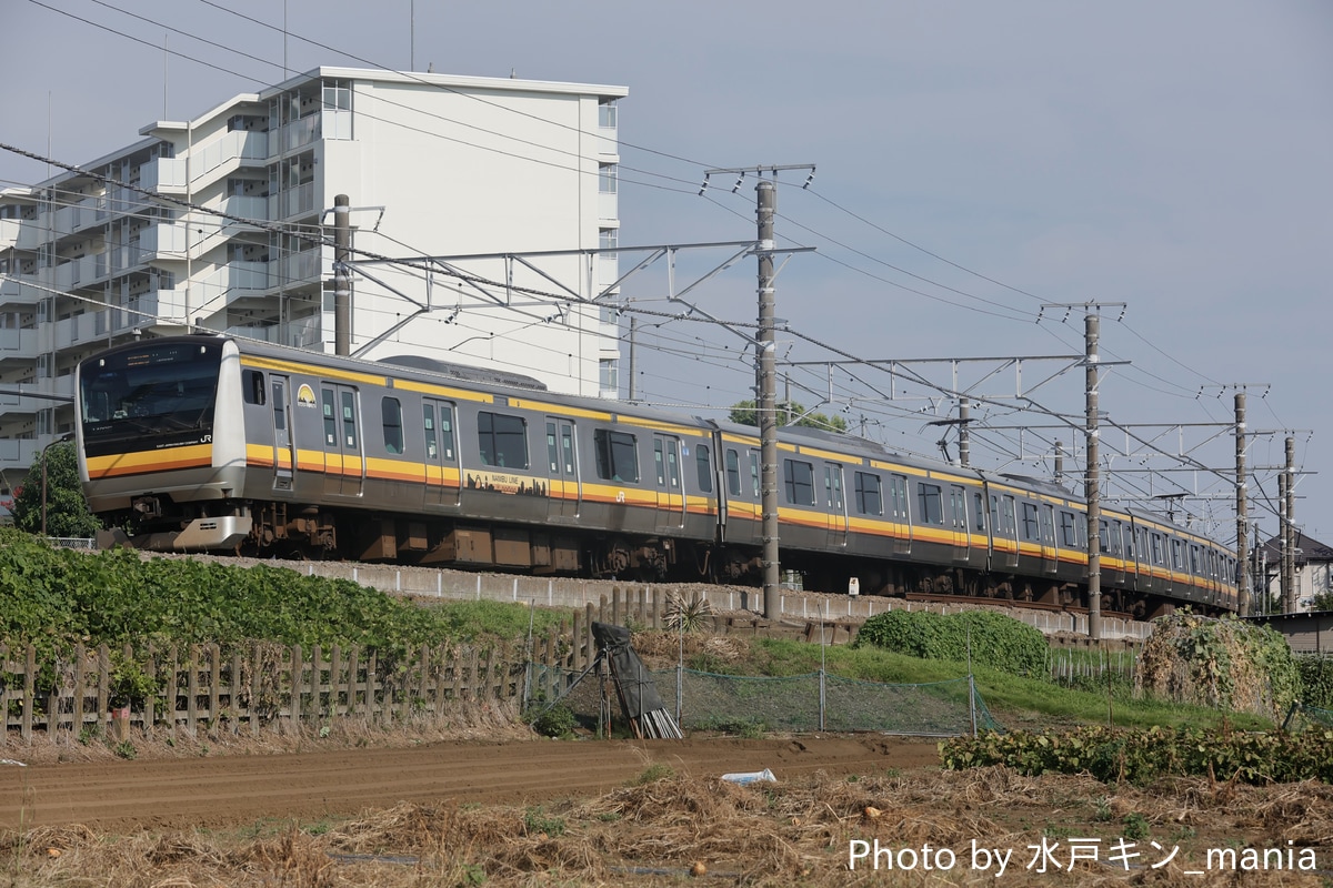 JR東日本 鎌倉車両センター中原支所 E233系 ナハN4編成